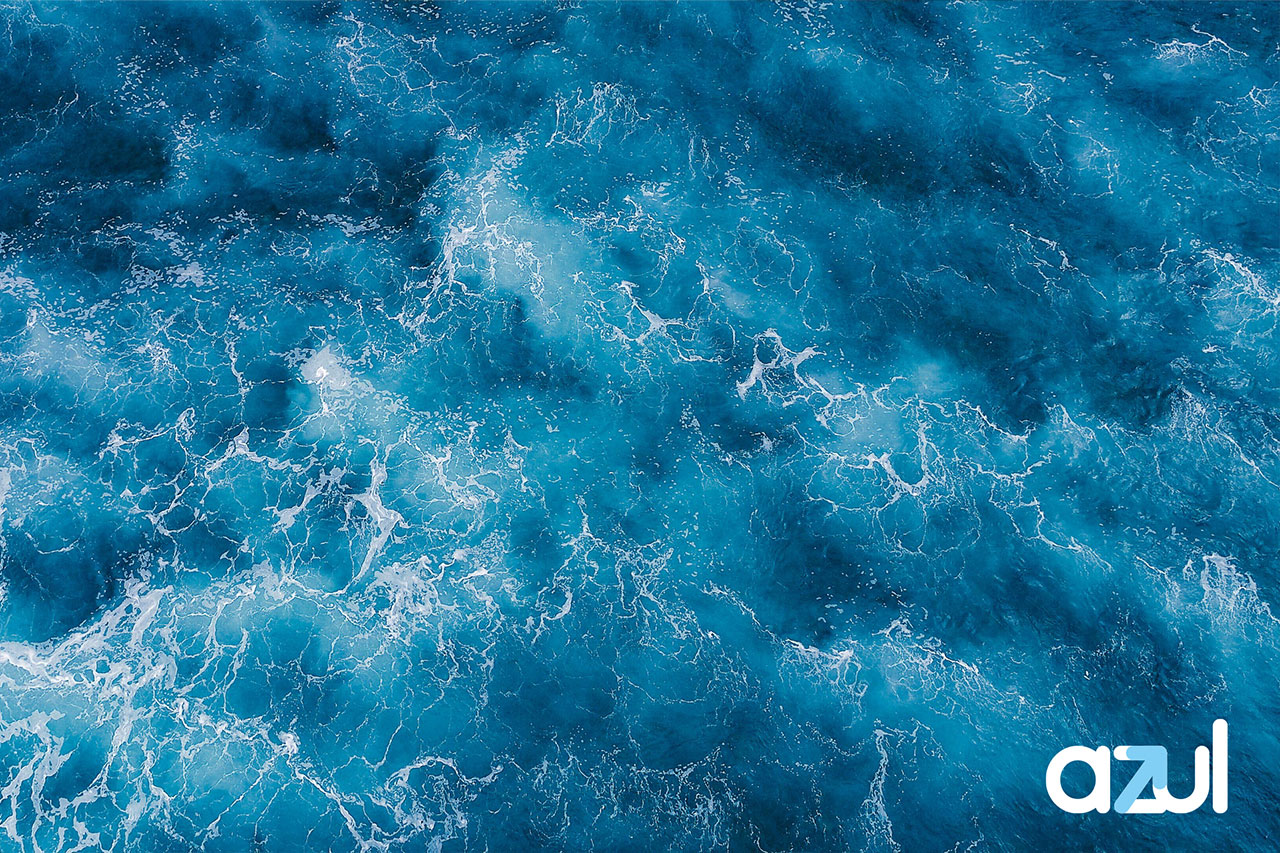 Estrategias de mercado. Estrategia del oceano azul